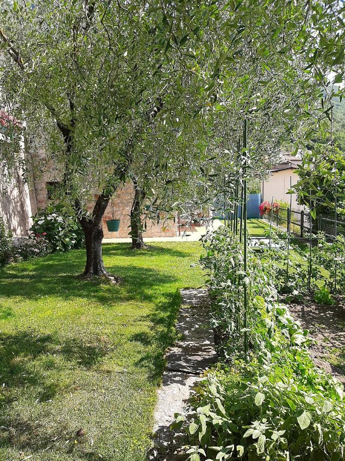 Apartment Maria Brenzone sul Garda Exterior foto